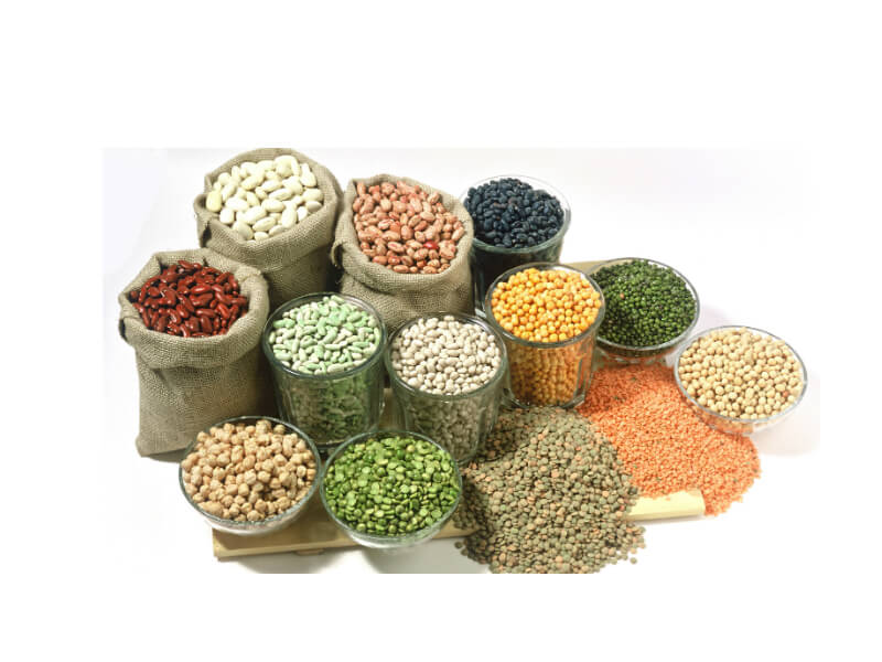 Agriculture