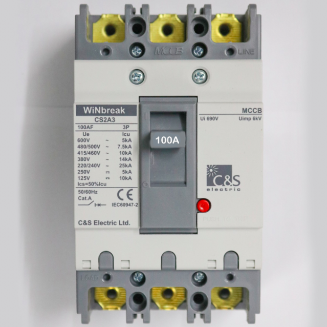 MCCB Switch - 100 A