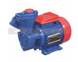 Crompton 1HP  Mini Crest I Water Pump