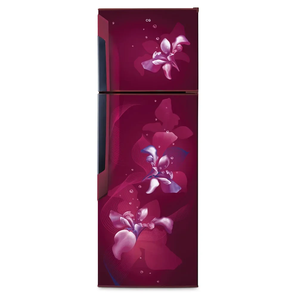 CG 290 Ltr Refrigerator  CGD3101OXWN