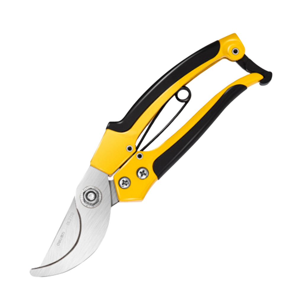 Pruning Shear