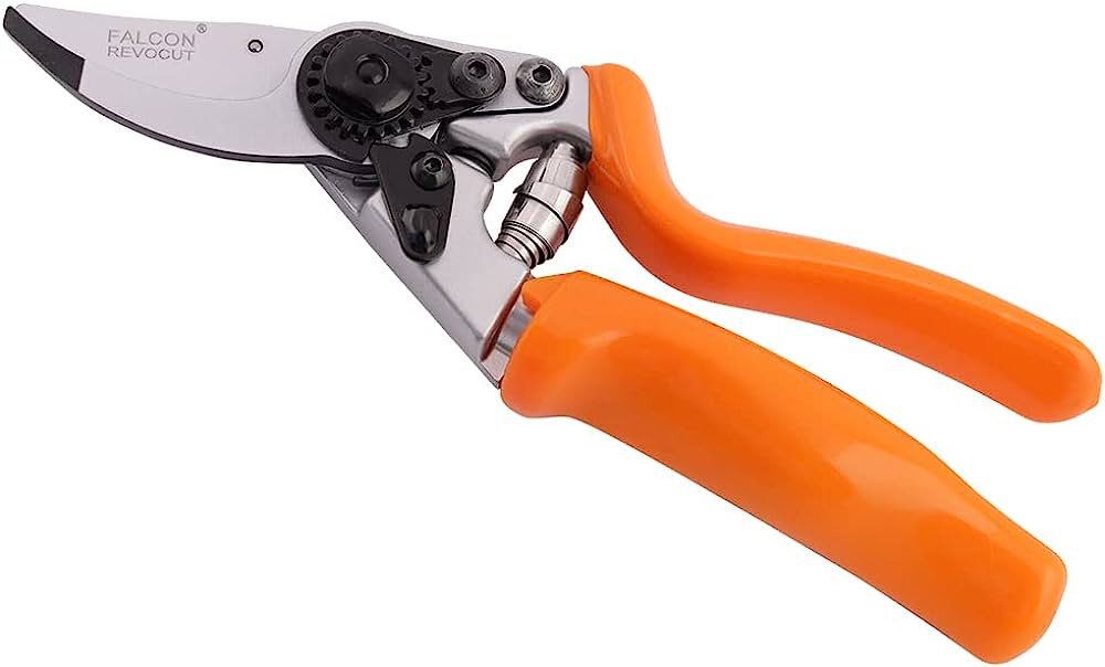 Pruning Shear