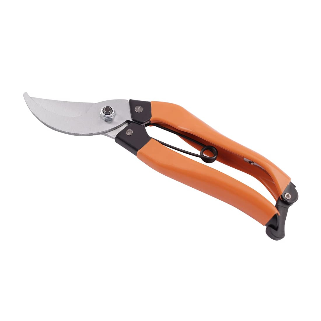 Pruning Shear