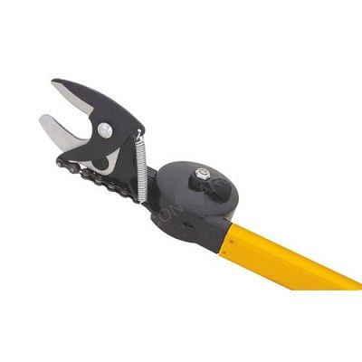 Pruning Shear