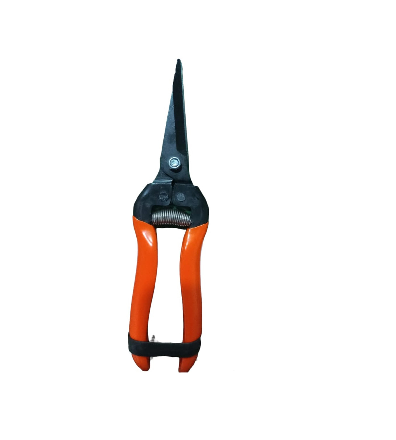 Falcon Fruit Pruner FBT-45