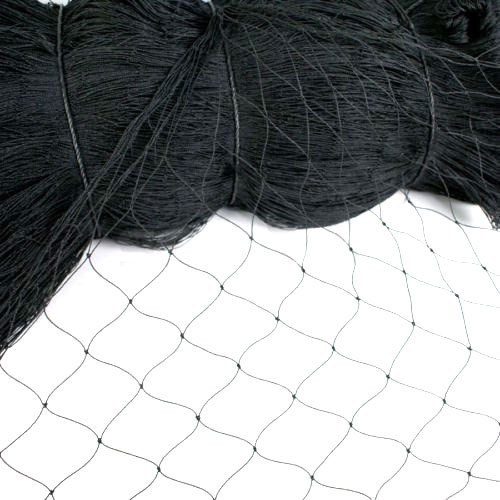 Bird Net