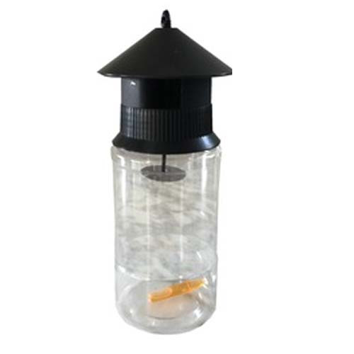 Pheromone Trap