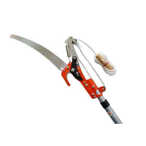 Pruning Shear