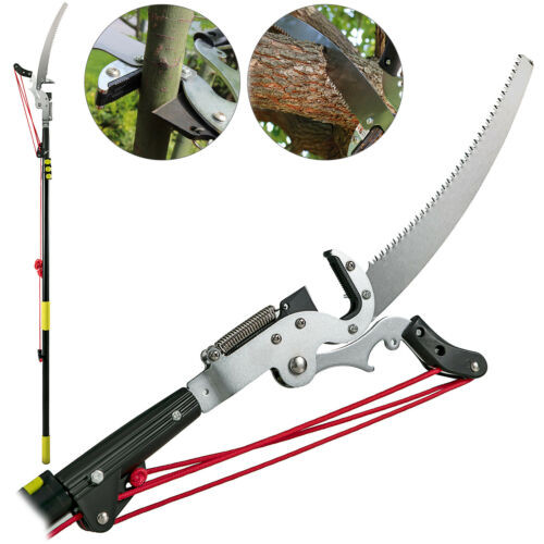 Pruning Shear