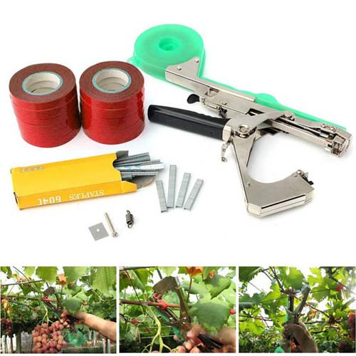 Fruit & Vegetable Equipments
