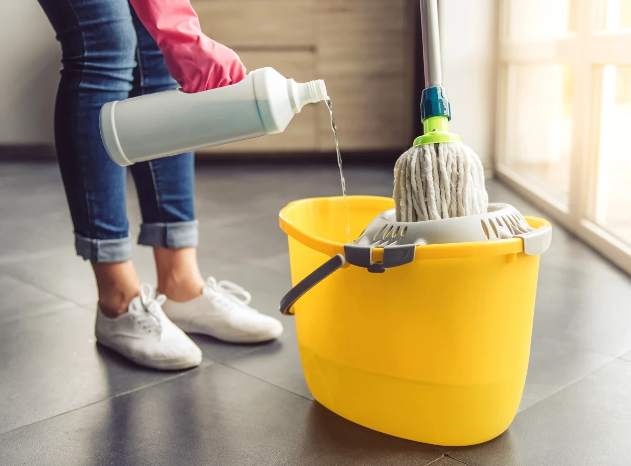 Cleaning Service (Office/Individual Homes)