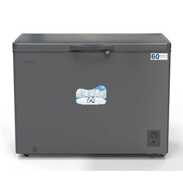 Chest Freezer