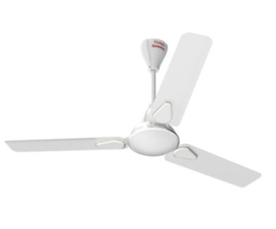 CG 48 Inch Decorative Ceiling Fan CGCF48DECO Noire Gold
