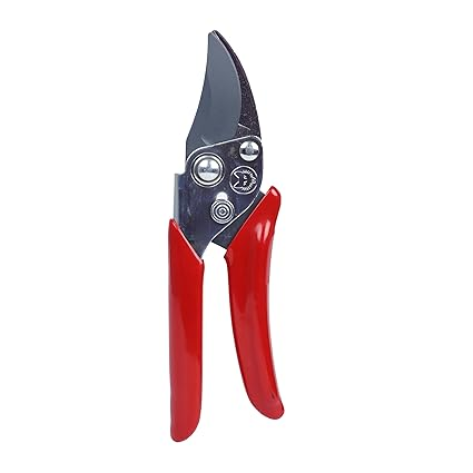 Pruning Shear