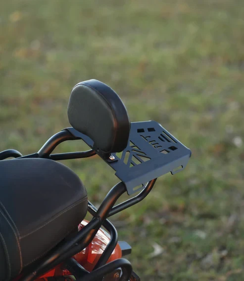 TVS Ronin - Back Carrier