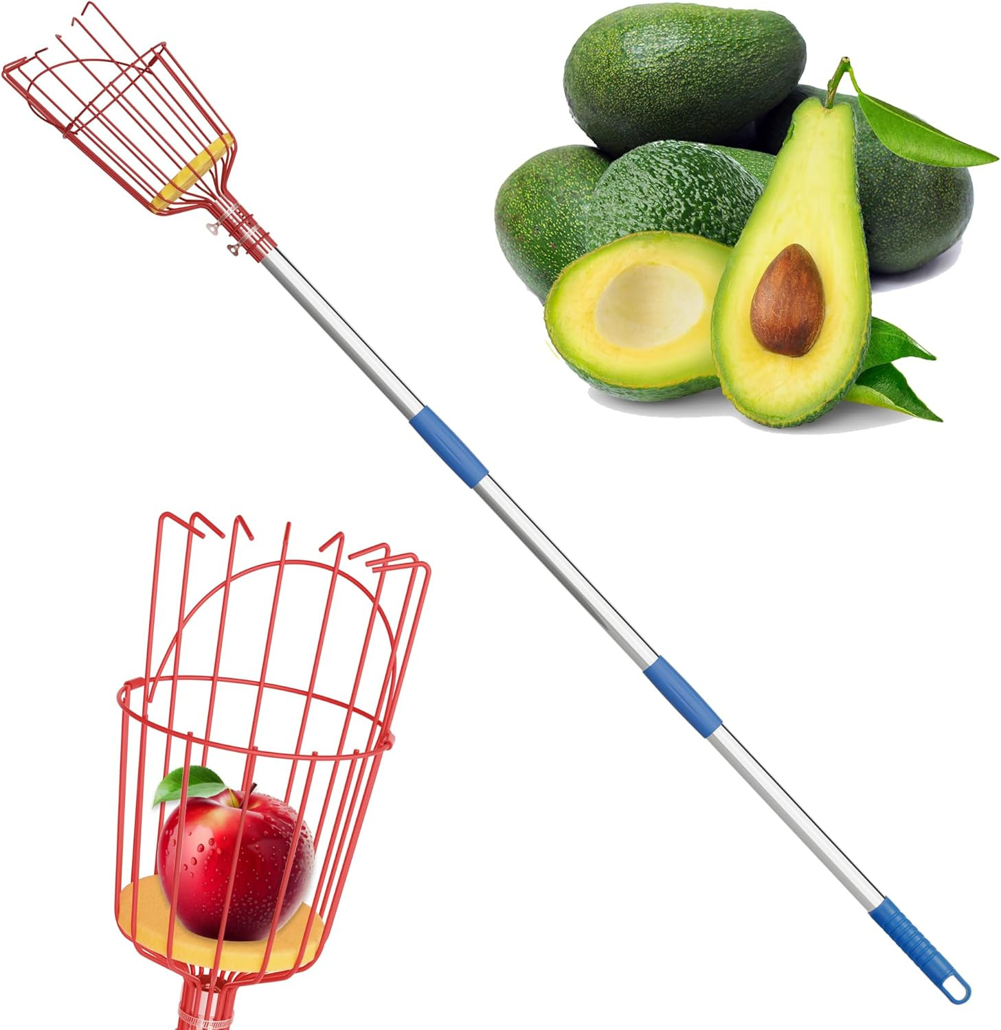 Extendable Fruit Picker Pole with Basket
