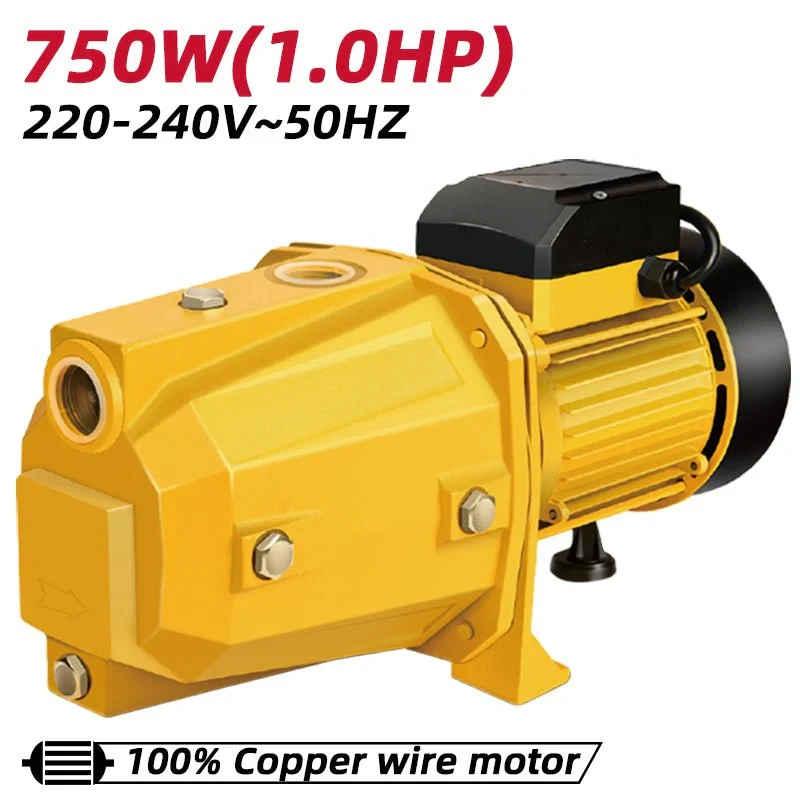 Deli 750W Self-Priming Jet Pump EDL-JET750E2