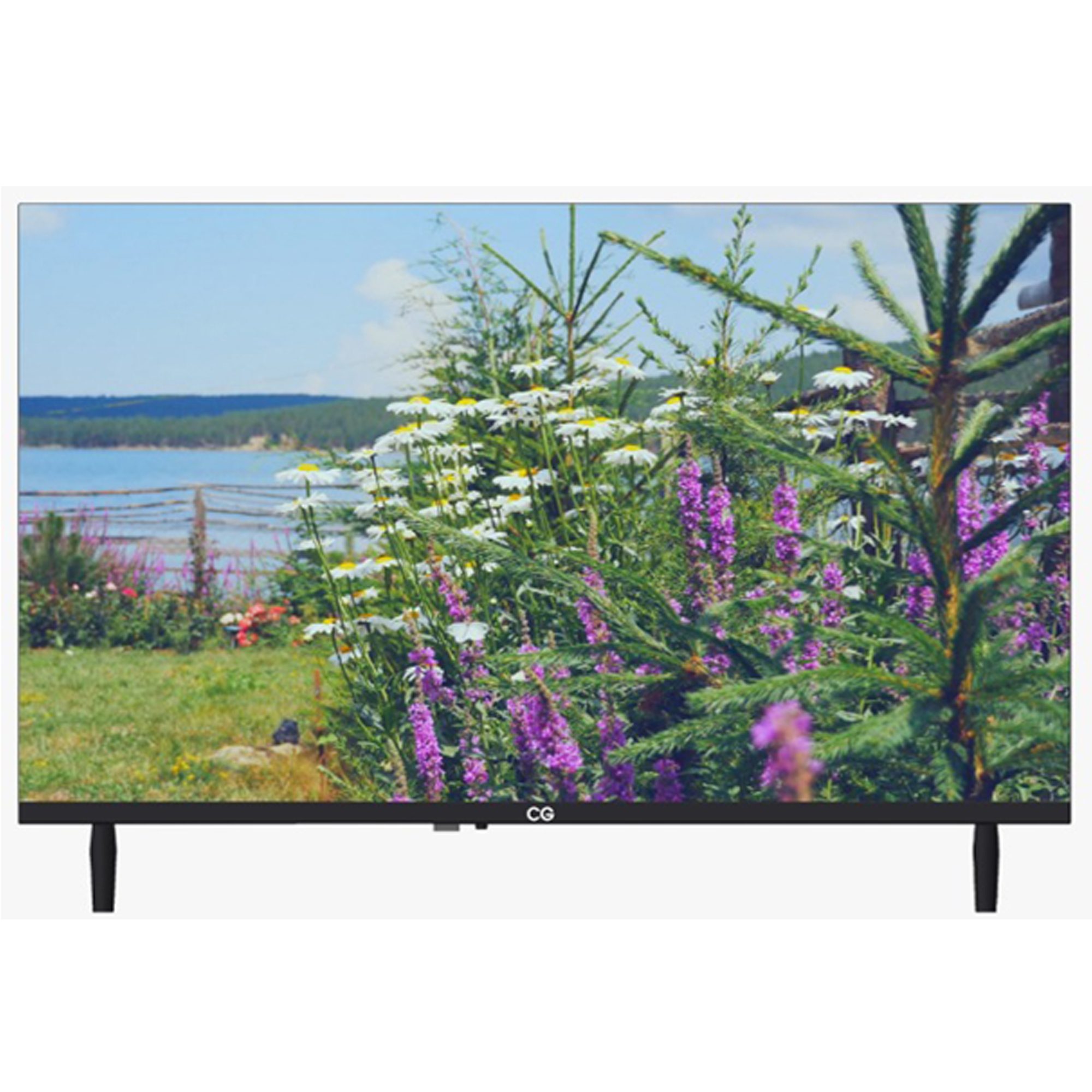 CG 43 Inch Smart LED TV CG43FLS2