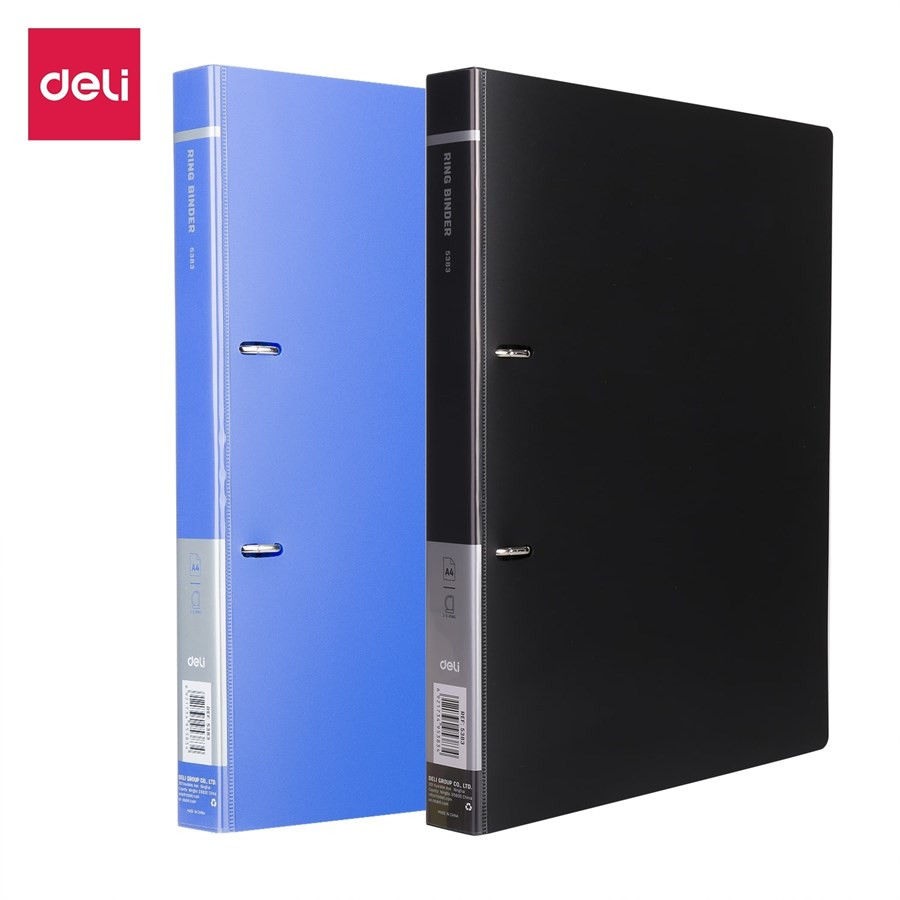 2D Ring Binder Plastic Box File -A4 Size | File for Certificates and  Documents | Office