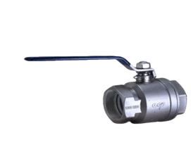 SS Ball valves