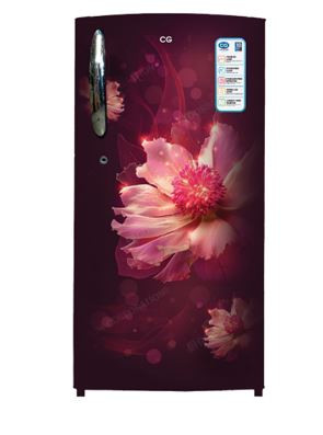 CG 190 Liter Single Door Refrigerator CGS205DR01