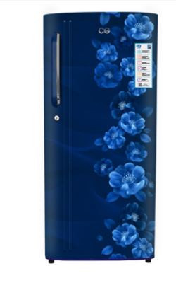 CG 230 Liter Single Door Refrigerator CGS2503SB