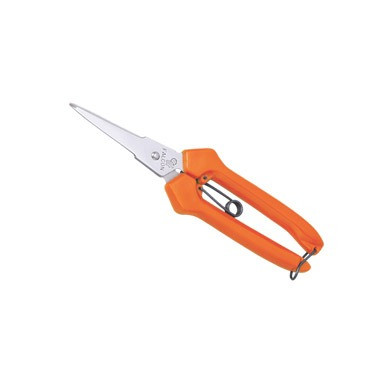 Falcon Fruit Shears FTS-808