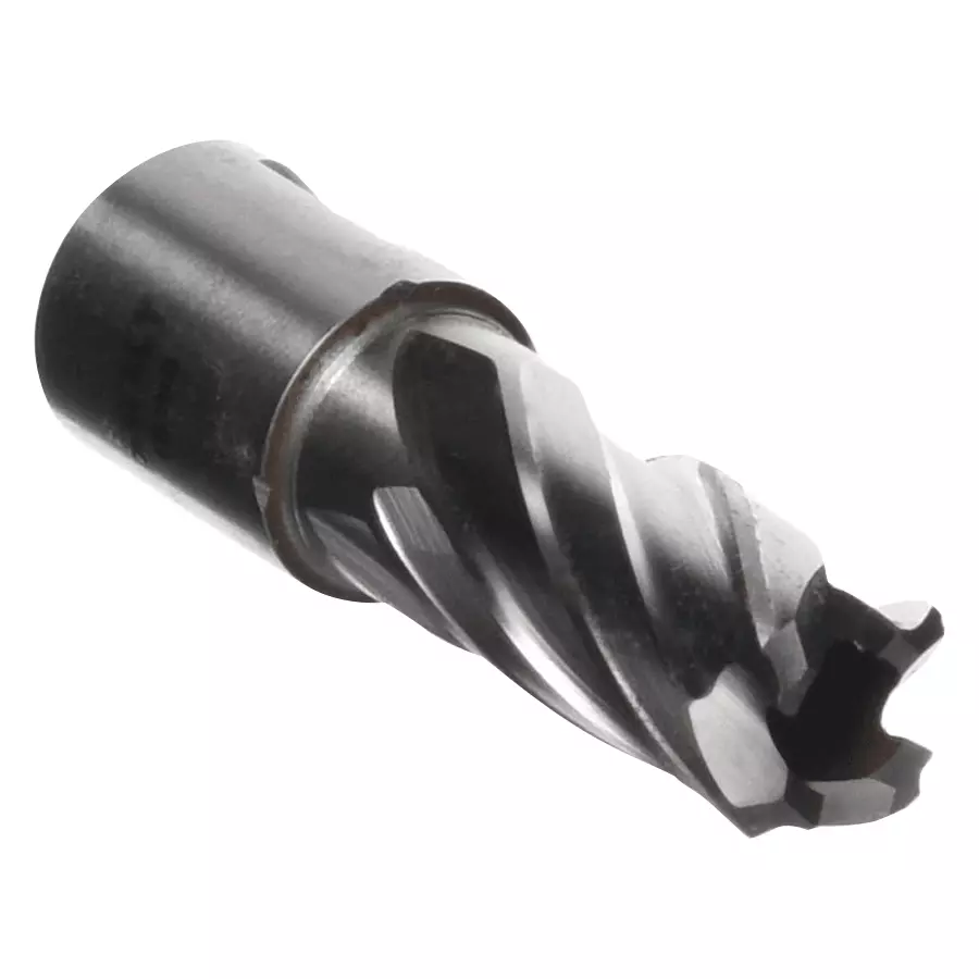 Dewalt 16mm Annular Cutter DT8401-XJ