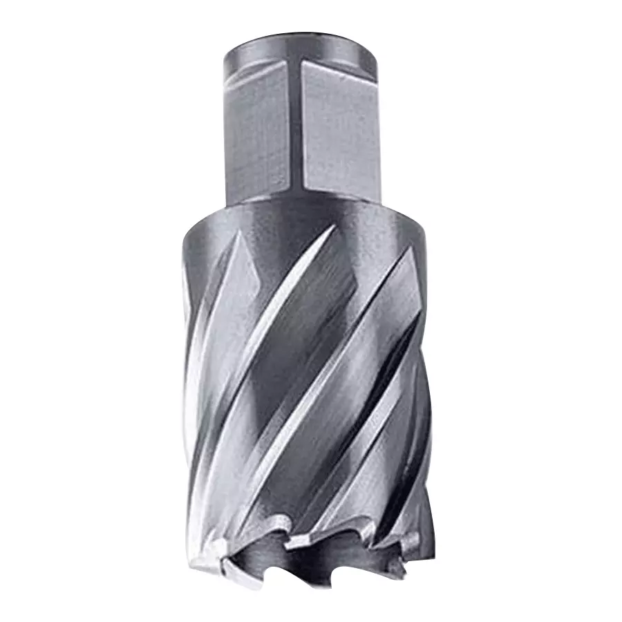 Dewalt 20mm Annular Cutter DT8403-XJ