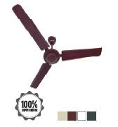 Baltra 36" Ceiling Fan BF 260 Pacific Pro