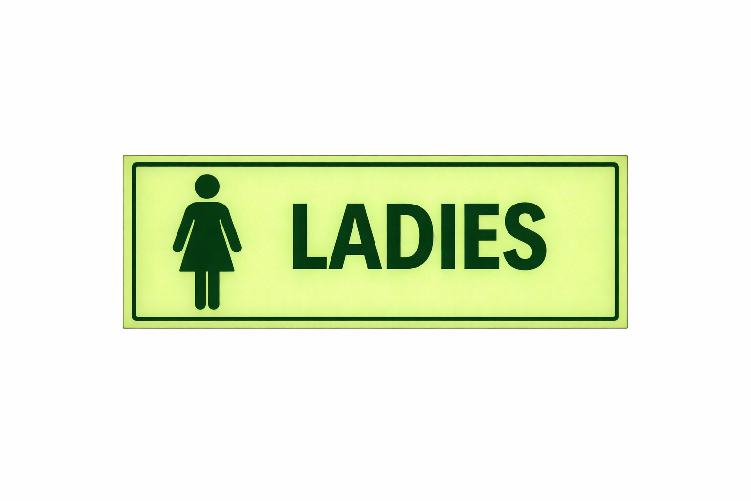 100mm*300mm Photoluminescent Signage Ladies G 8