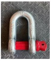 25 Ton D-Shackle with screw pin