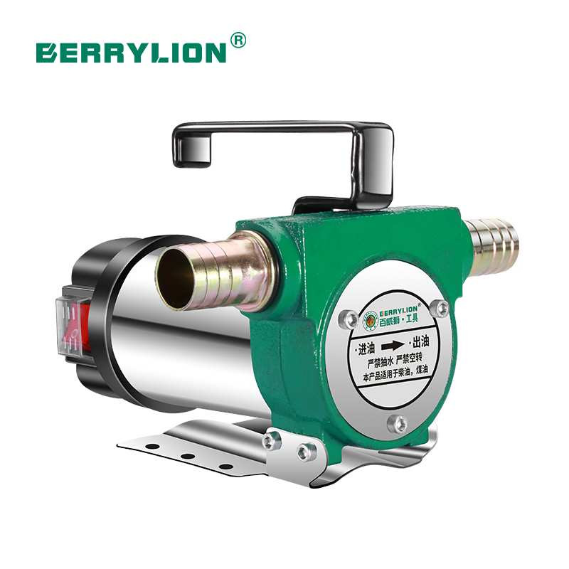 Berrylion 220V Electric Oil Pump