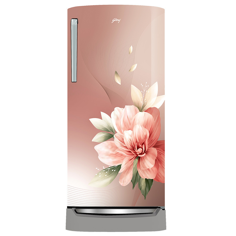 Godrej 200 Liter Single Door Refrigerator RDEMARVEL 215E TDI RS BM