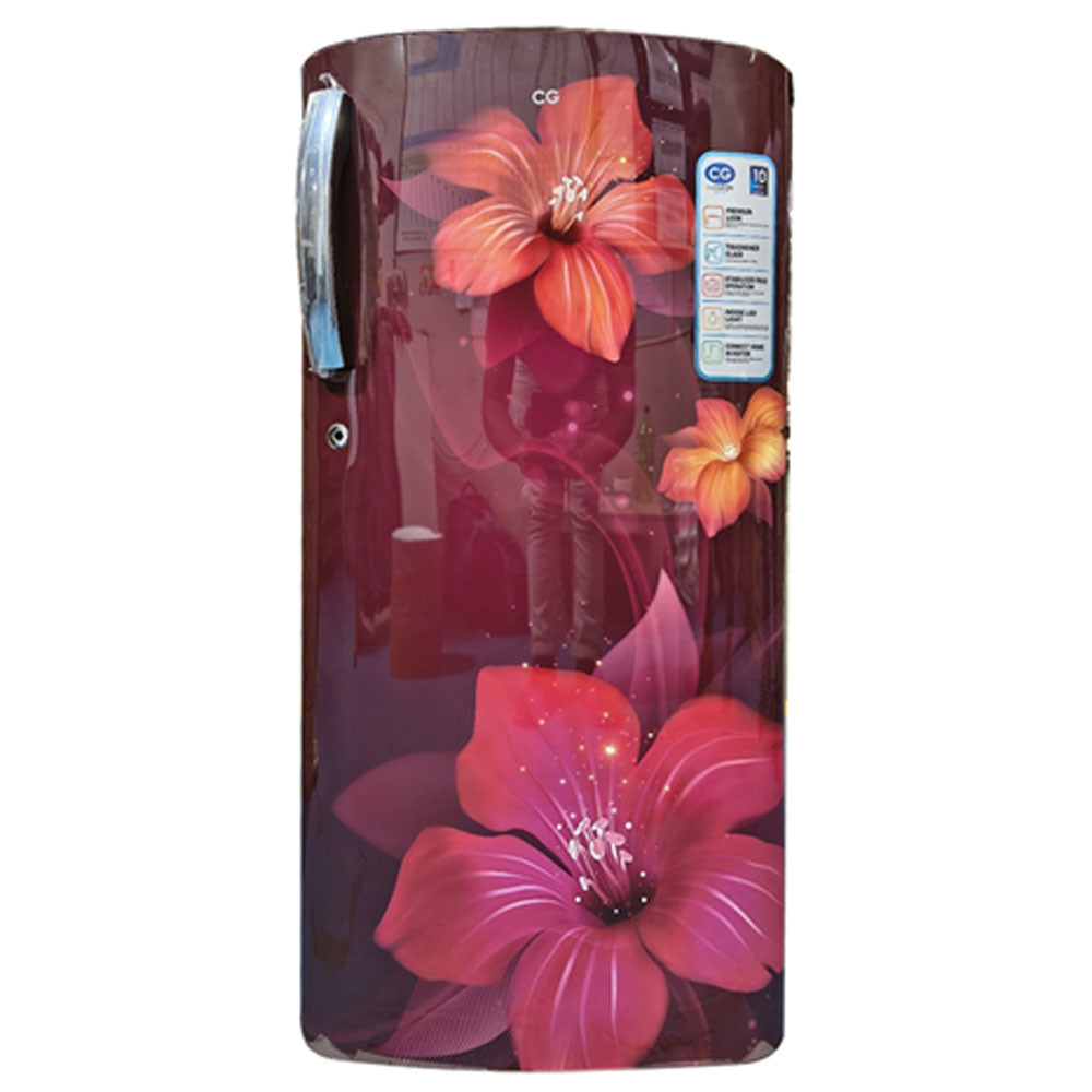 CG 175 Liter Single Door Refrigerator CGS190SR01